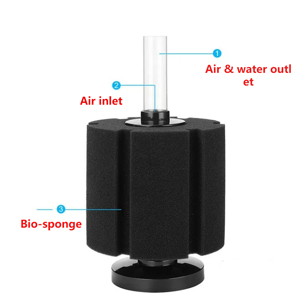 Aquarium Filter Sponge For Fis - Aquael Filter Fzn ulasan dan harga