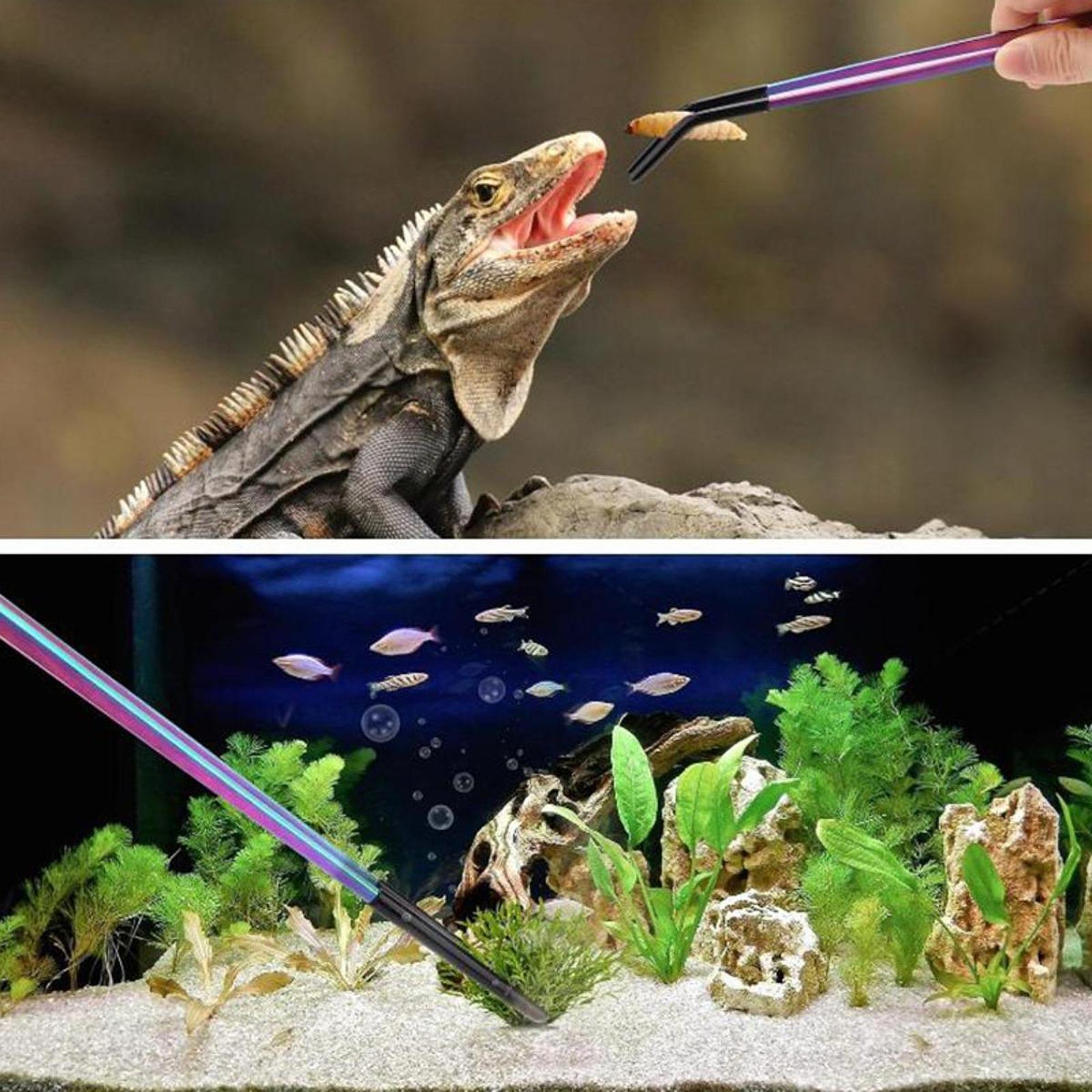 Aquarium Tweezers Reptile Feed - Feeding Tong Stainless ulasan dan harga