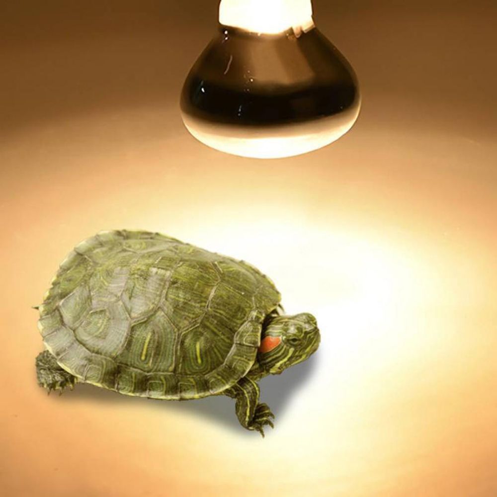 Amphibians Heat Lamp Heater Ha - Basking Bulb Halogen ulasan dan harga