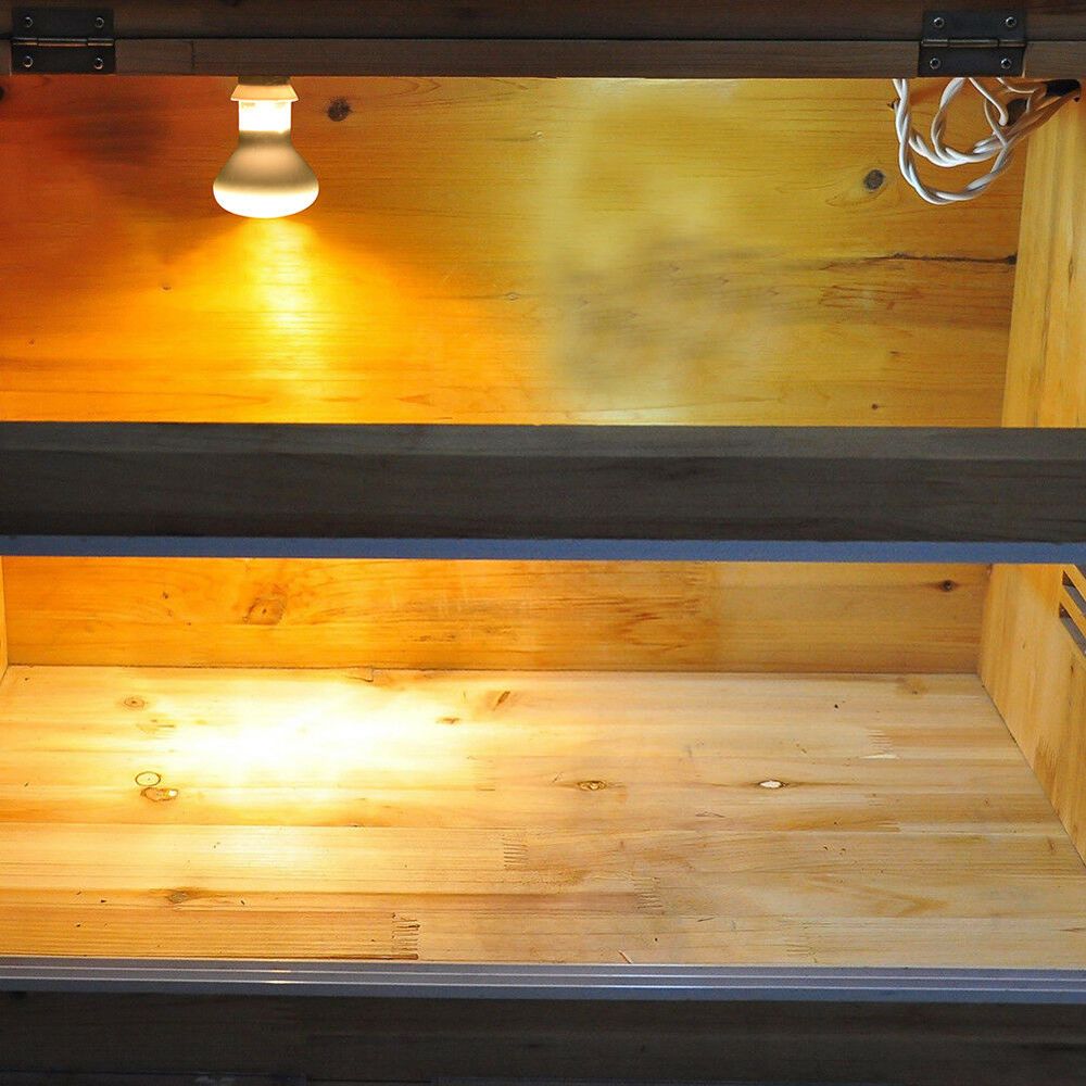 Amphibians Heat Lamp Heater Ha - Basking Bulb Halogen ulasan dan harga